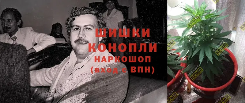 это официальный сайт  Ревда  Конопля ГИДРОПОН 